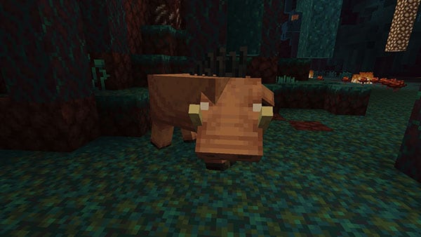 Hoglin in the Nether