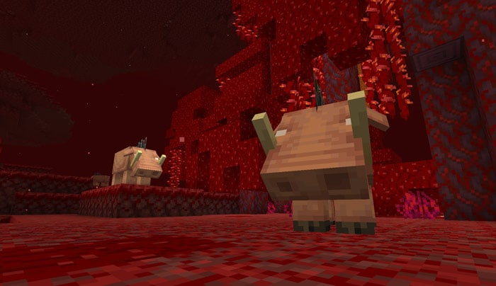 Two hoglins