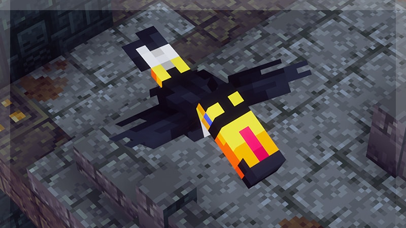 Cloudy Climb pet toucan